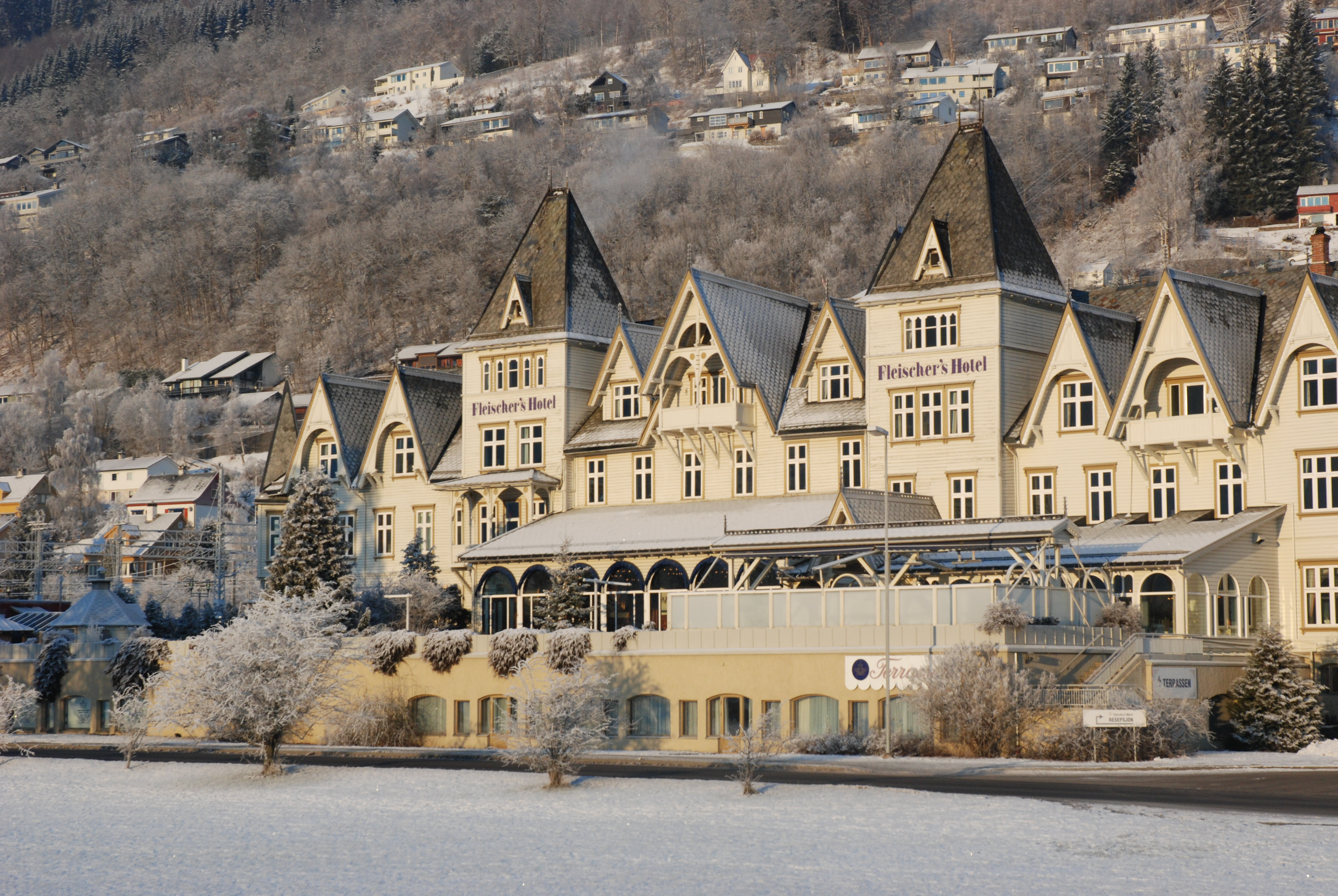 Fleischer's hotel i vinterlandskap
