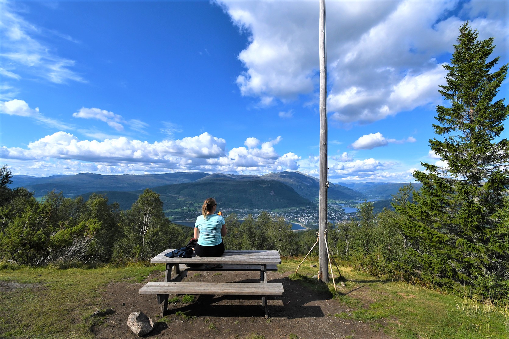 utsikt frå roset