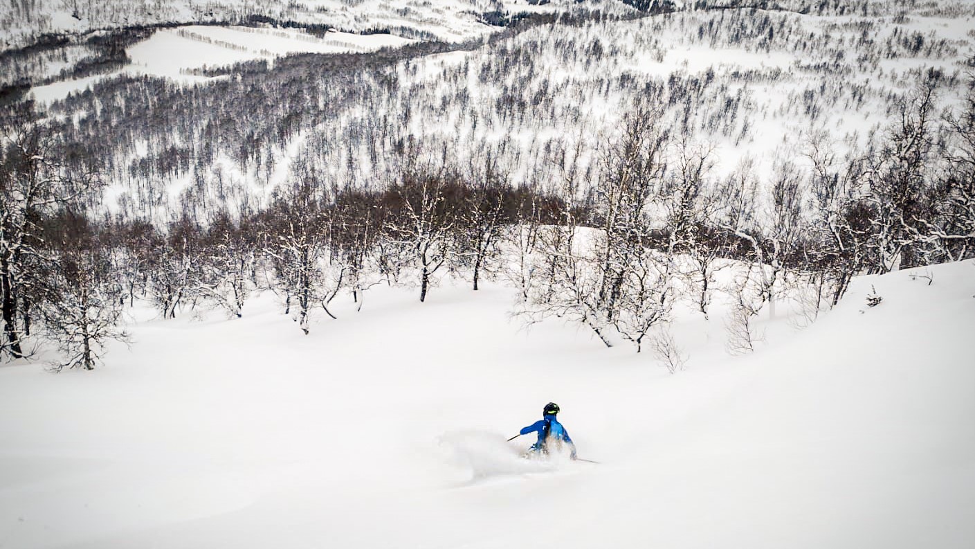 skogskøyring i pudder på voss