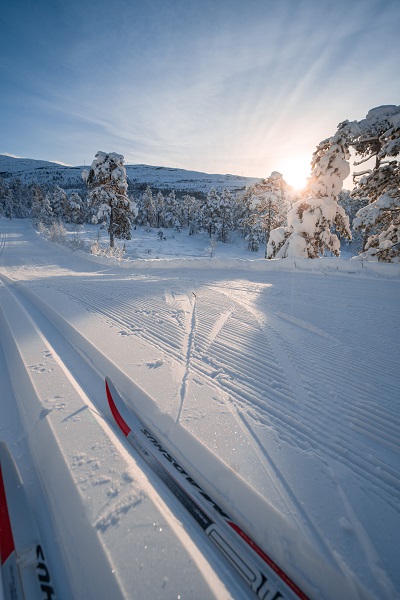 nydeleg vinterdag og mykje snø i haugsåsen, granvin