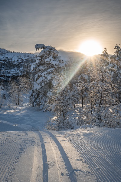 eventyrlege, snøkledde trær i haugsåsen, granvin