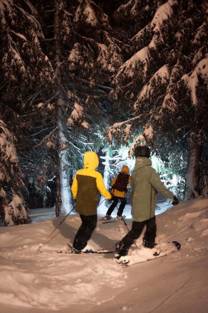 skogskøyring i pudder på voss