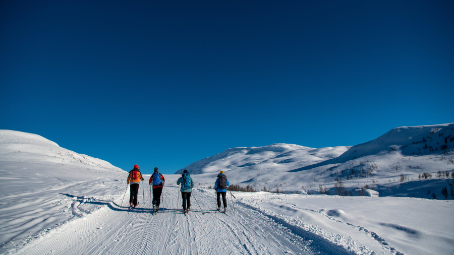 Langrenn i myrkdalen