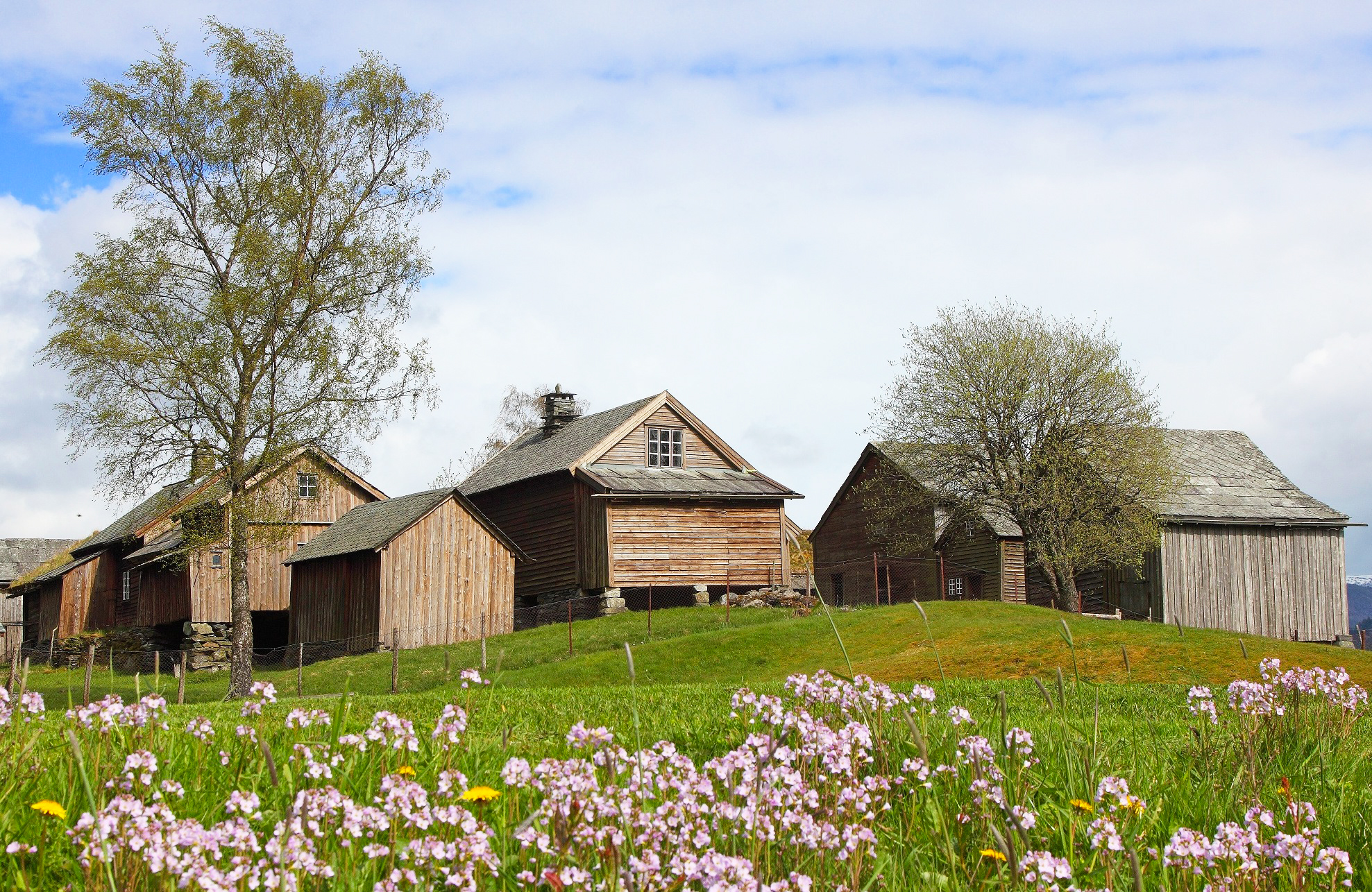 Mølstertunet ein solskinnsdag