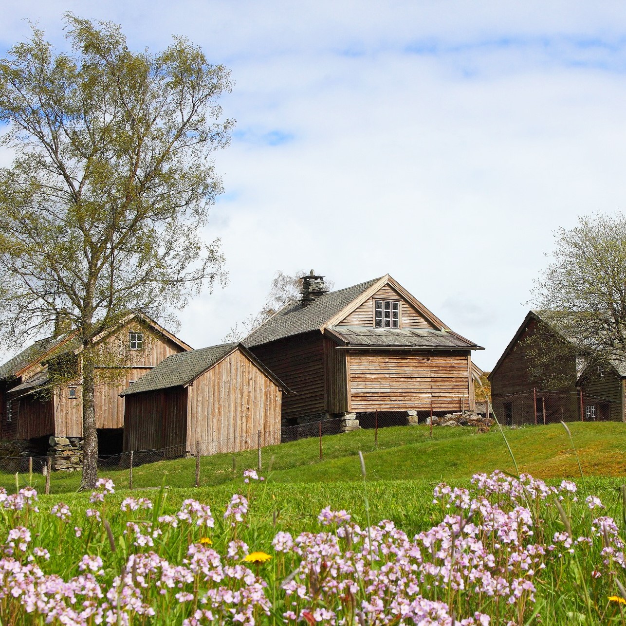 Mølstertunet Voss Norge