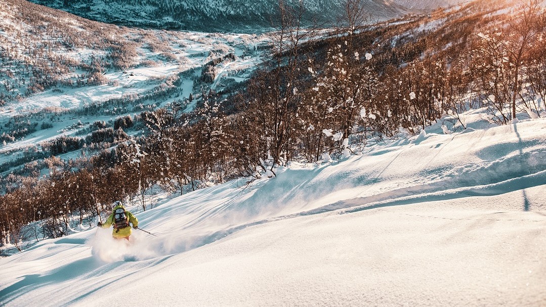 Offpiste i skogen i myrkdalen