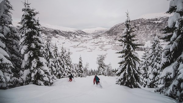 frikjøring og pudder i Myrkdalen