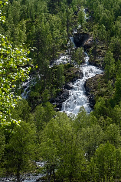 Foss på mjølfjell