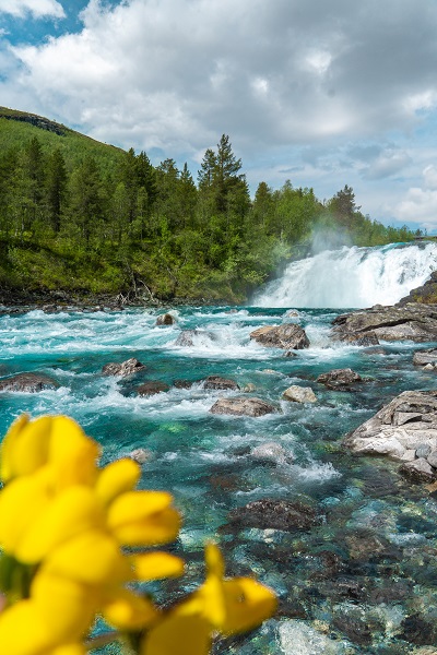 Rjoandfossen på mjølfjell