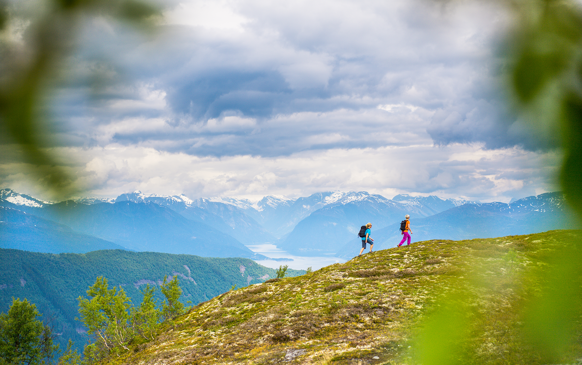 vandring i myrkdalen, sommar landskap og utsikt mot vik