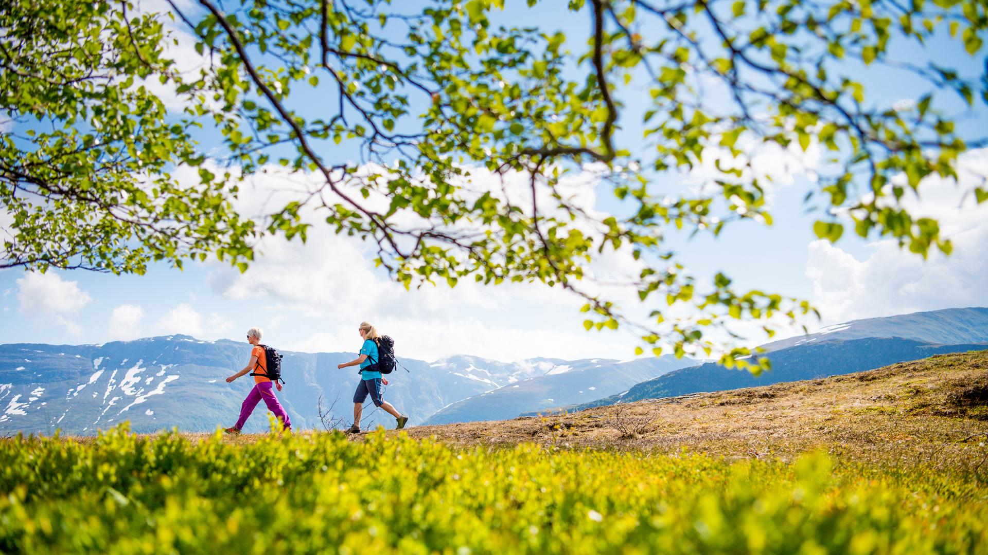 vandring myrkdalen