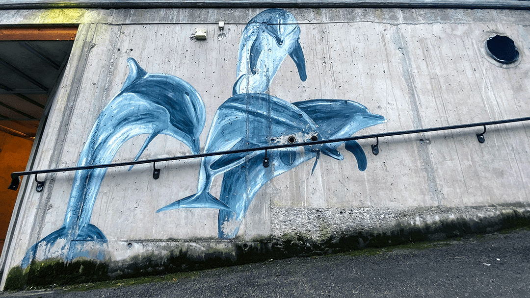delfiner av aagot art