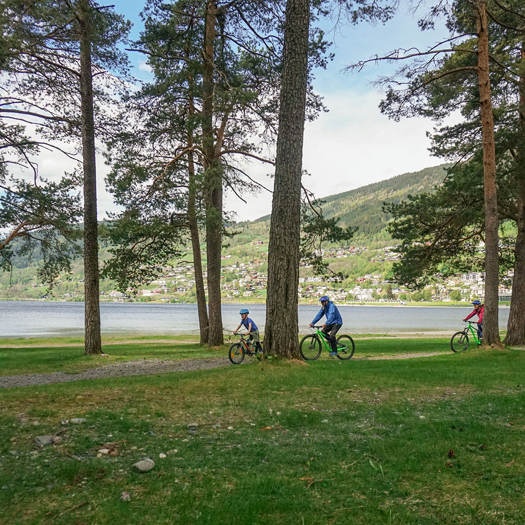 guidet mtb på voss