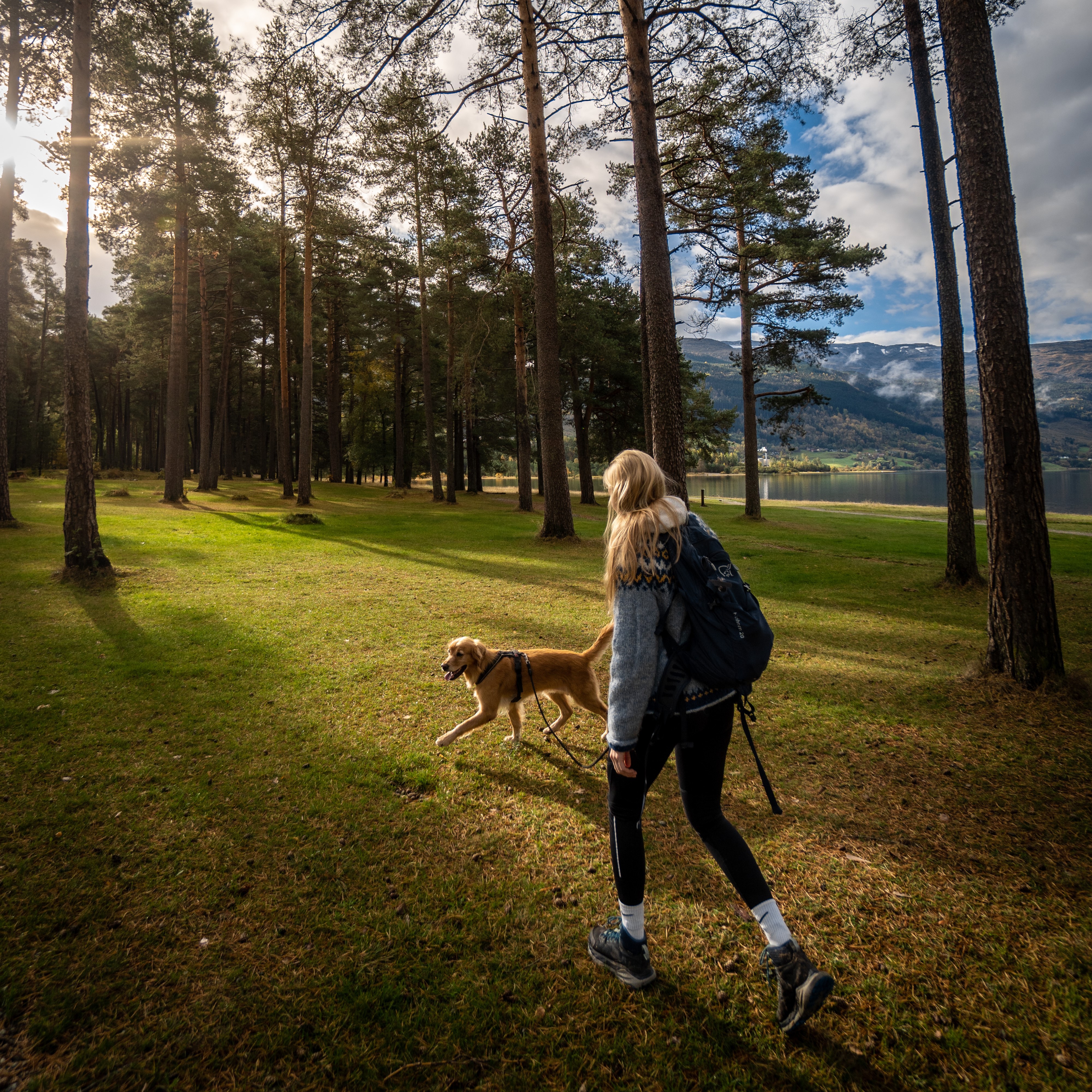 utstilling av skiferdrift