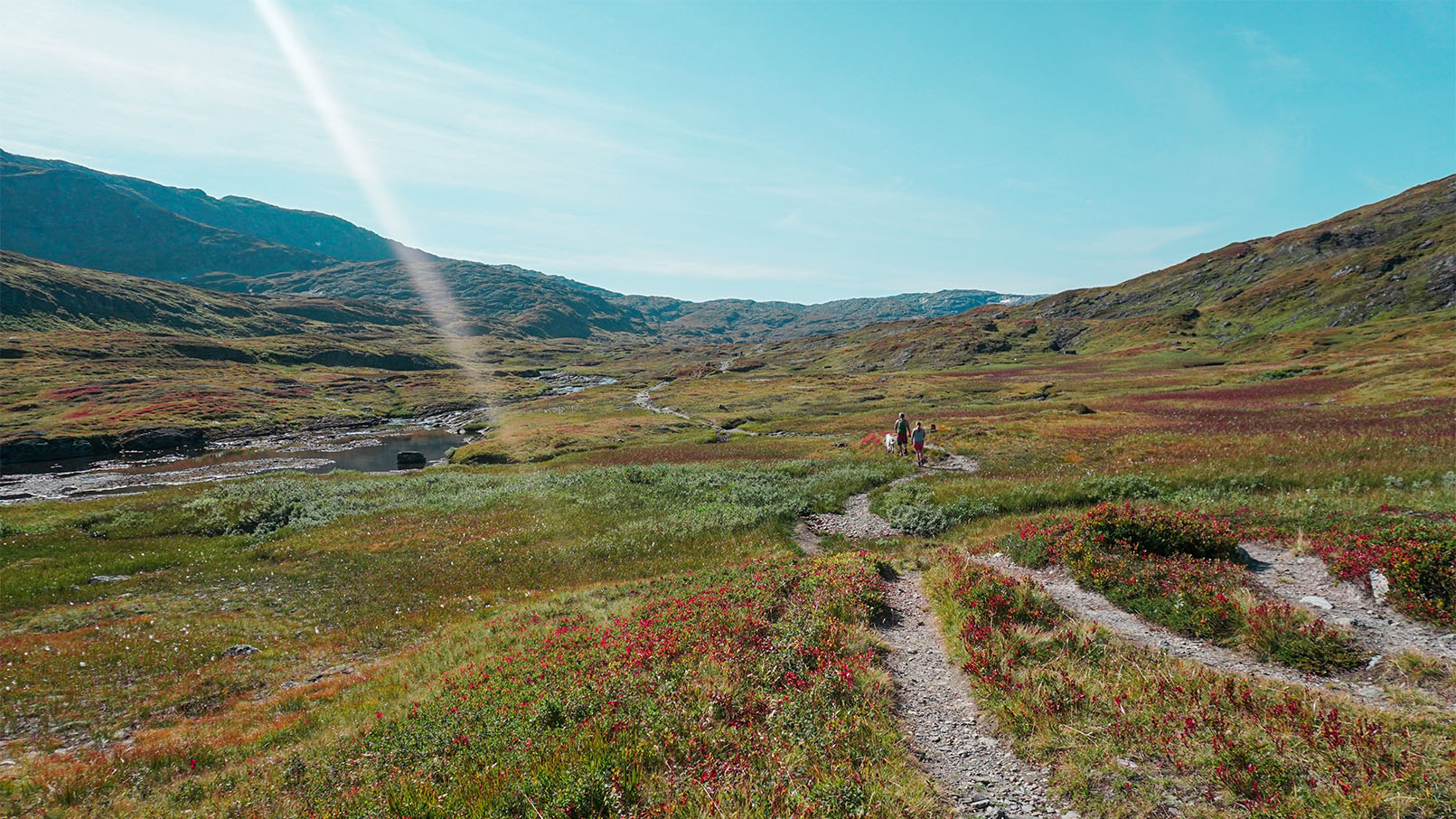 sendedalen på vikafjellet, om seinsommaren