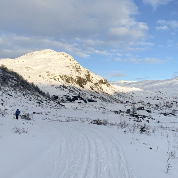 vinterlandskap på mjølfjell, nær voss