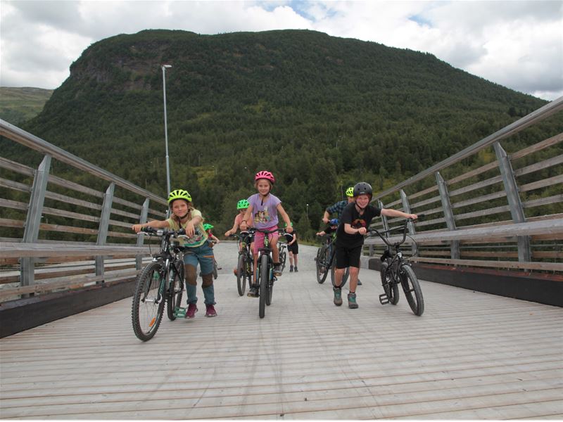 Myrkdalen på sommaren, born på sykkel