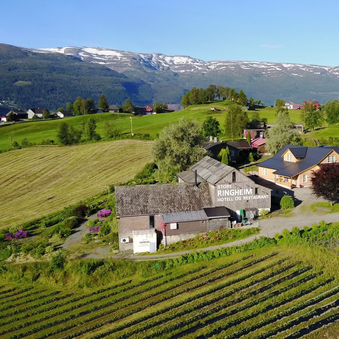 Dronebilete av Store Ringheim Hotell og Restaurant i sommarlandskap og omringa av landbruksareal, åker og beite.
