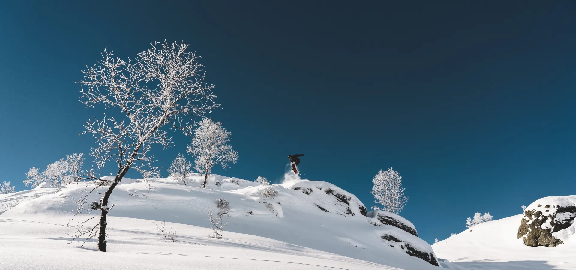 Voss Resort