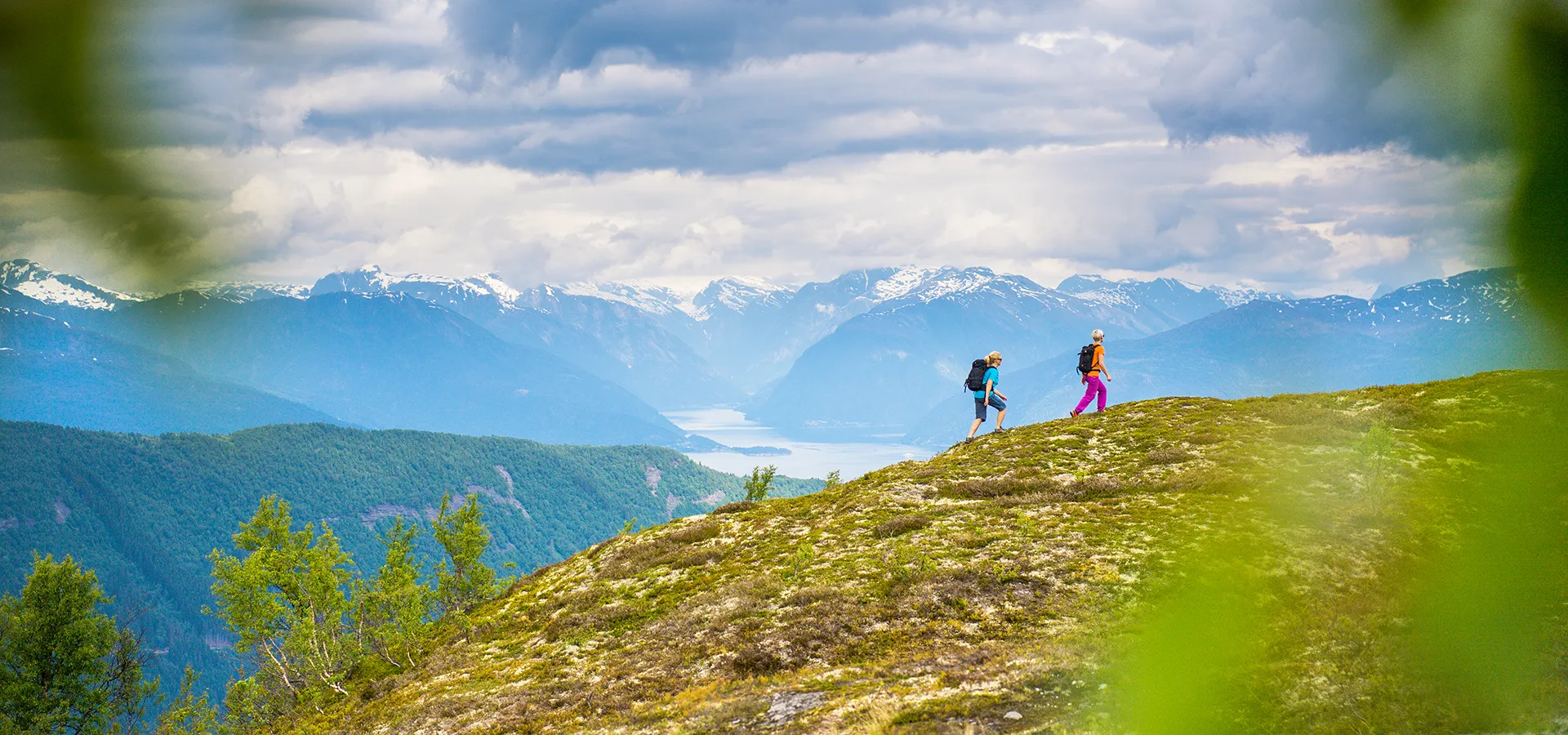 vandring i myrkdalen