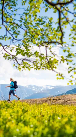 vandring i myrkdalen
