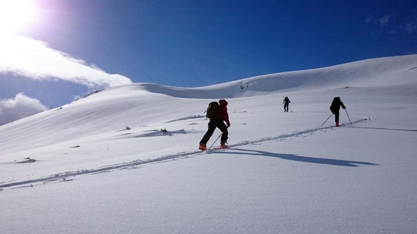 Topptur på ski med guide - Wild Voss