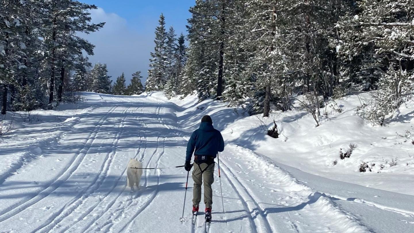 mann og hund på tur i voss ski og tursenter