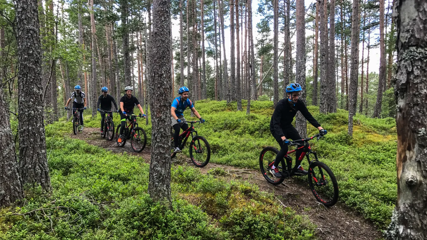 Sykling i Storåsen